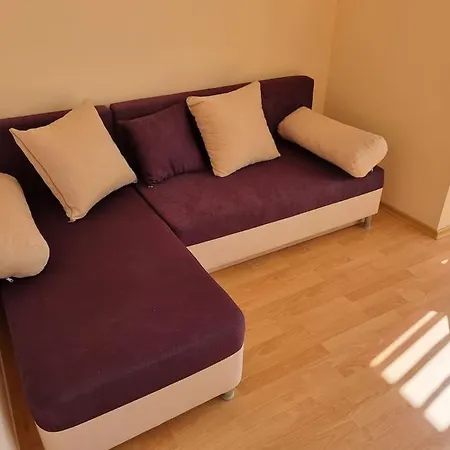 Sunny Family 302, Apartman